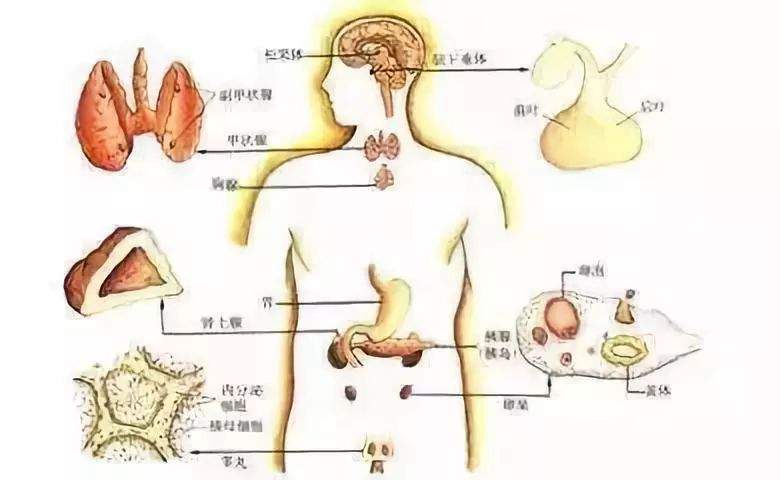 16人死亡！河北发布最新疫情通报！唐山人近期当心这些病！还有...