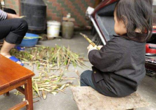 朱丹年入百万母亲却住农村老房子，网友质疑为何不翻新遭朱丹回怼