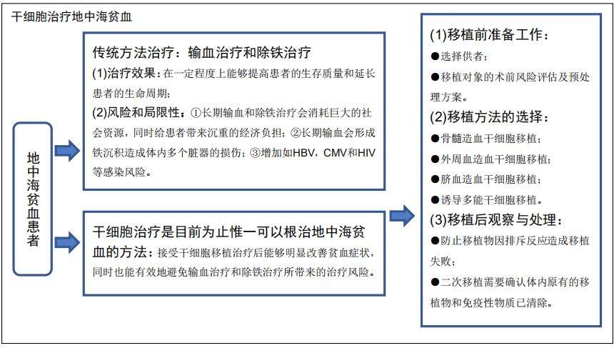 吉林中科：干细胞治疗技术，地中海贫血患者的新希望！