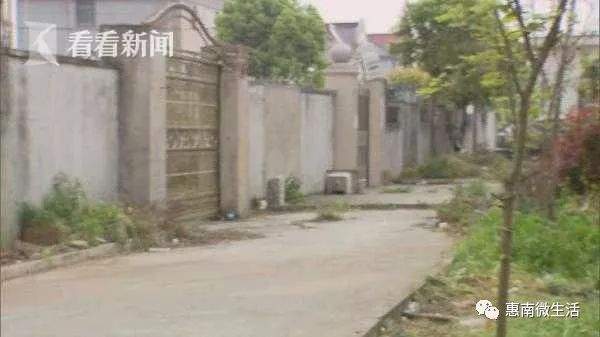 惠南镇城南一小区围墙被私开17扇门，绿化被改造为菜园