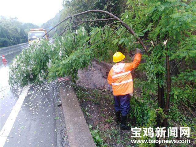 宝鸡：降雨致部分山区路段落石 9条国省干线保持畅通