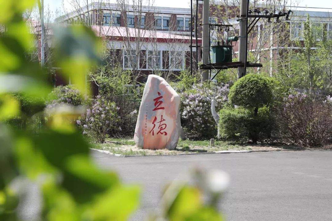 丁香花开，春满恒昌——恒昌中学教师摄影作品展示