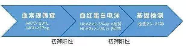 震惊！每6个广东人就有1个是地贫基因携带者！