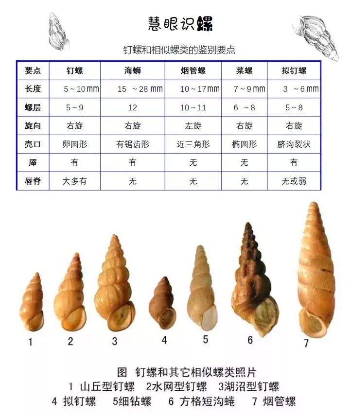 38年后这个病卷土重来？广东这个地方启动Ⅲ级应急响应