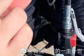 杨洋和乔欣恋爱石锤？两人疑似挽手逛超市被拍，此前曾否认恋情