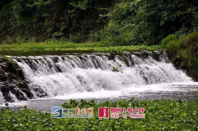 美到窒息！柳州竟藏着个“柳版九寨沟”，距离还很近！赶紧约起来