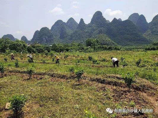 县领导深入贫困村调研指导精准扶贫工作