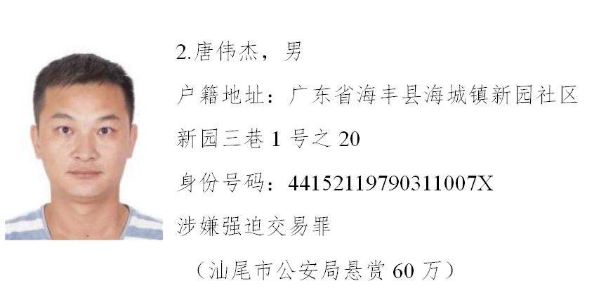 电白这2名男子被省公安厅公开悬赏通缉！你认识吗？