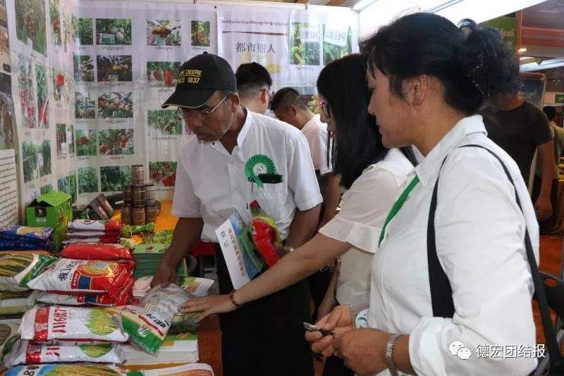 德宏亮相第五届缅甸芒果节