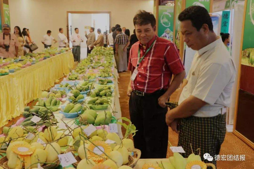 德宏亮相第五届缅甸芒果节