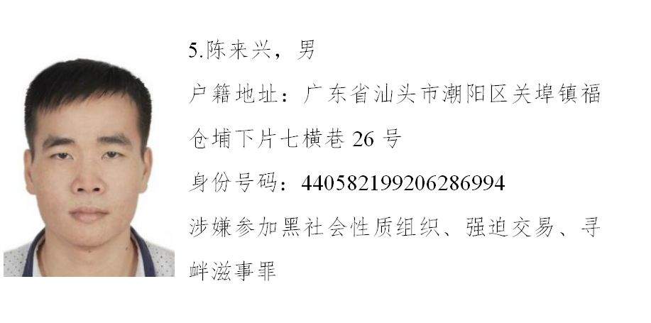 电白这2名男子被省公安厅公开悬赏通缉！你认识吗？