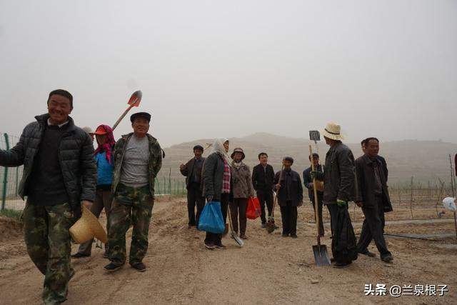 静宁县“网络媒体扶贫一线行”主题采访活动走进红寺镇田间地头