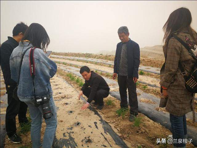 静宁县“网络媒体扶贫一线行”主题采访活动走进红寺镇田间地头