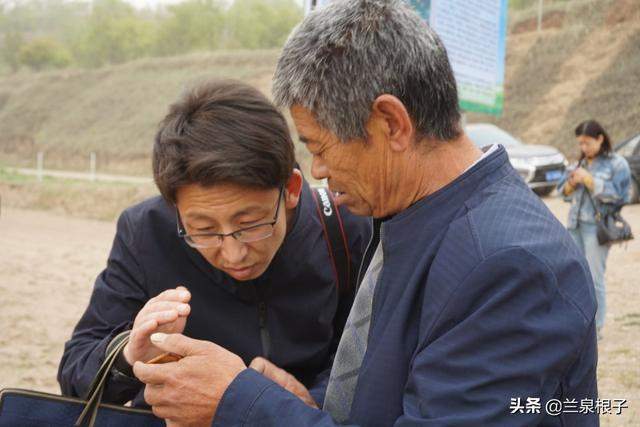 静宁县“网络媒体扶贫一线行”主题采访活动走进红寺镇田间地头