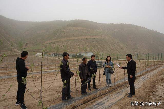 静宁县“网络媒体扶贫一线行”主题采访活动走进红寺镇田间地头