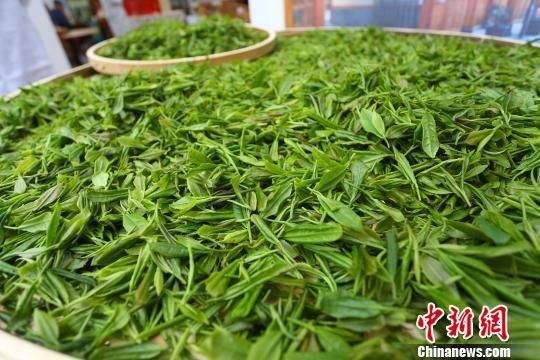 甘肃陇南“95后”茶艺师：传承茶道 静享“慢”生活