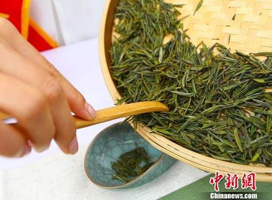 甘肃陇南“95后”茶艺师：传承茶道 静享“慢”生活