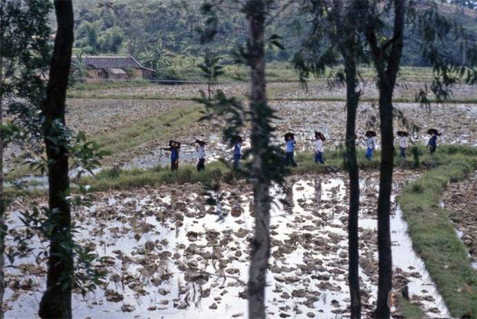 1979年的中国有了变化，街上竖起大幅广告，农贸市场已经出现