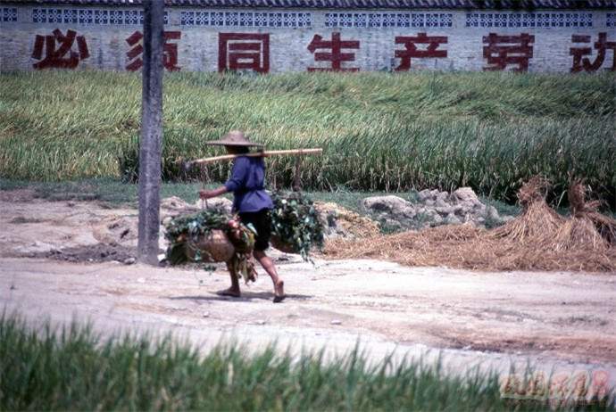 1979年的中国有了变化，街上竖起大幅广告，农贸市场已经出现