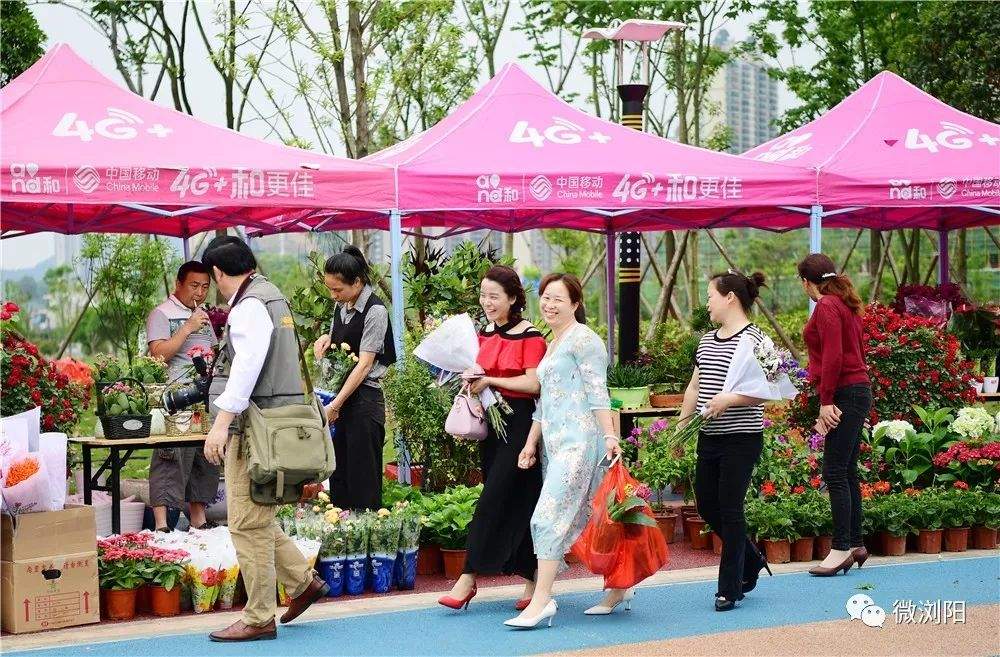 ​湖畔大讲堂、花&房……18日起,在这个地方,谁最美，等你挑!