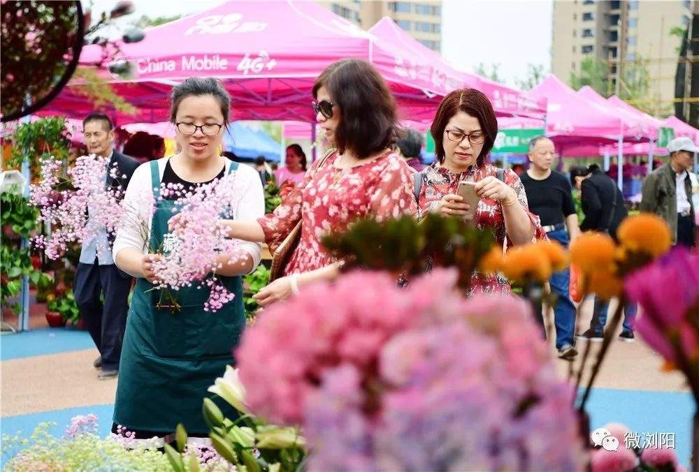 ​湖畔大讲堂、花&房……18日起,在这个地方,谁最美，等你挑!