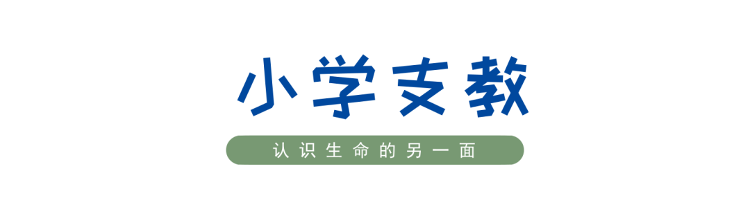 感人！难民创办的马戏团竟拯救了1000多个儿童