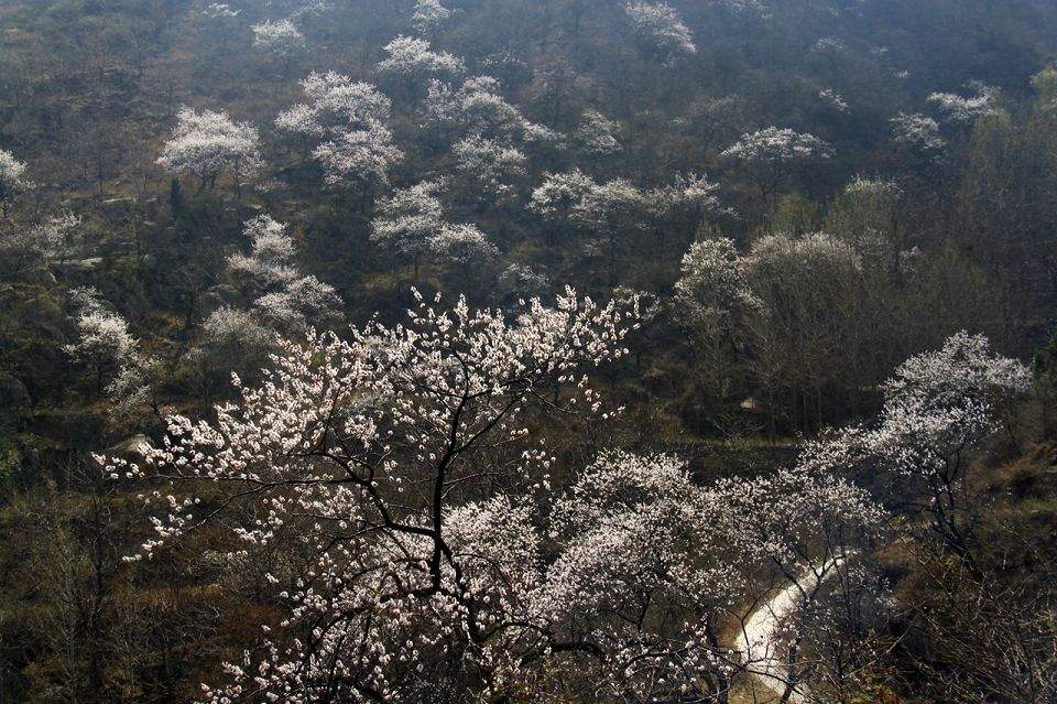 环翠裕拓展训练基地|郑州周边拓展训练基地|郑州会议拓培训场地