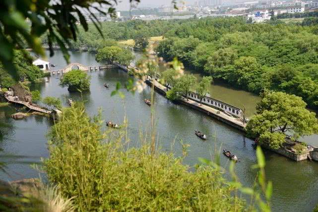 【绍兴·图说】小东湖大盆景