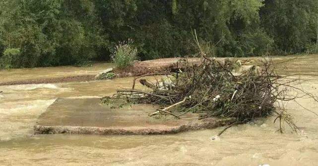 广西钓友在暴雨后钓获“小金龙”，值数百元一斤