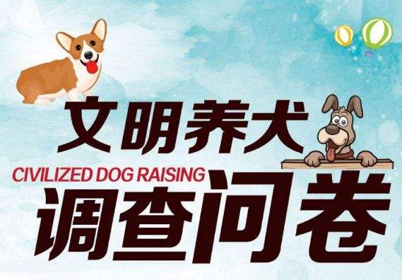 桐乡平均每天有48人因犬咬伤进医院！请文明养犬！