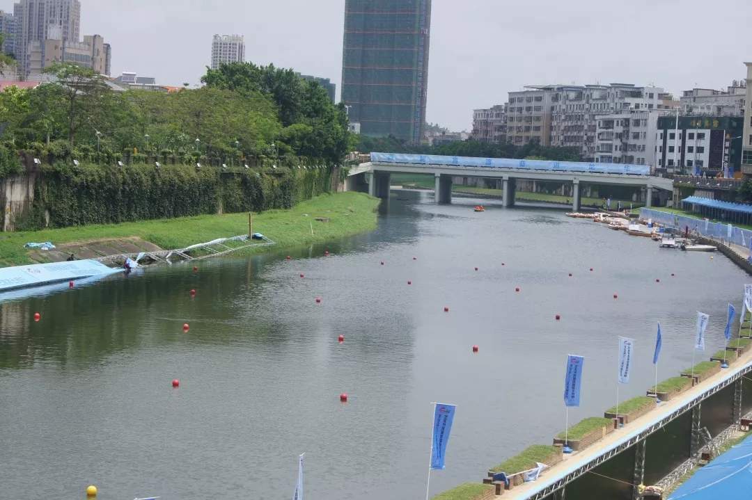 踏浪前行，不畏险阻！龙华区2019年龙舟文化艺术节观澜河国际龙舟赛圆满结束！