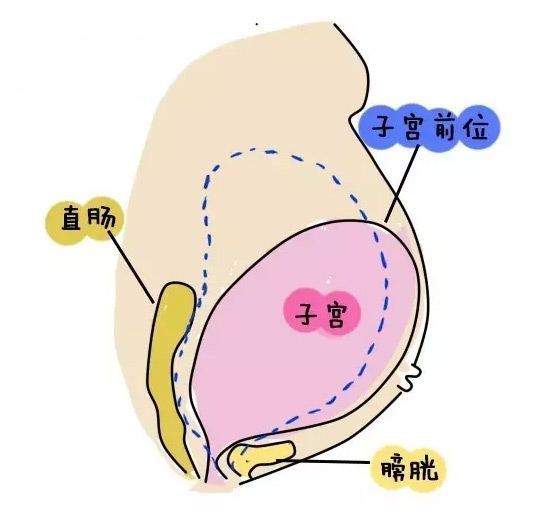 孕周大孕肚一定大吗？说不定不如孕周小的！影响孕肚大小原因在这