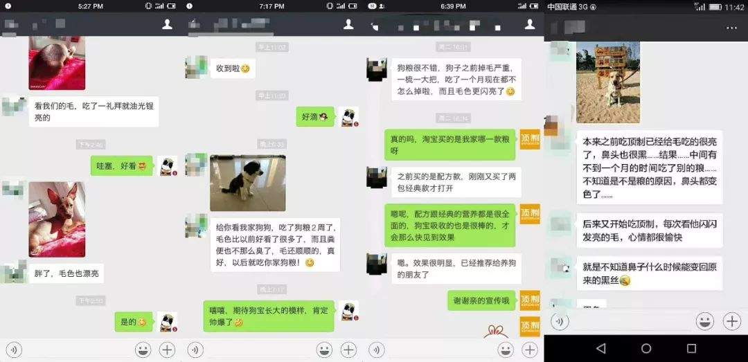 阿拉斯加惨遭主人抛弃，再次被收养后竟....！