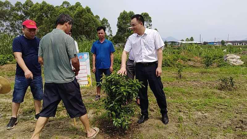 【大安支行】让温暖与责任同行，扶贫更精准