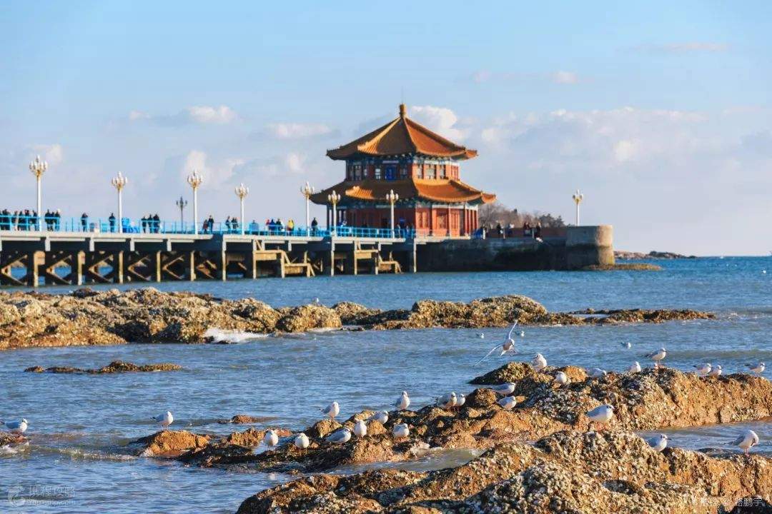 航线|炎炎夏日，鄂尔多斯机场带你开启清爽青岛之旅哟