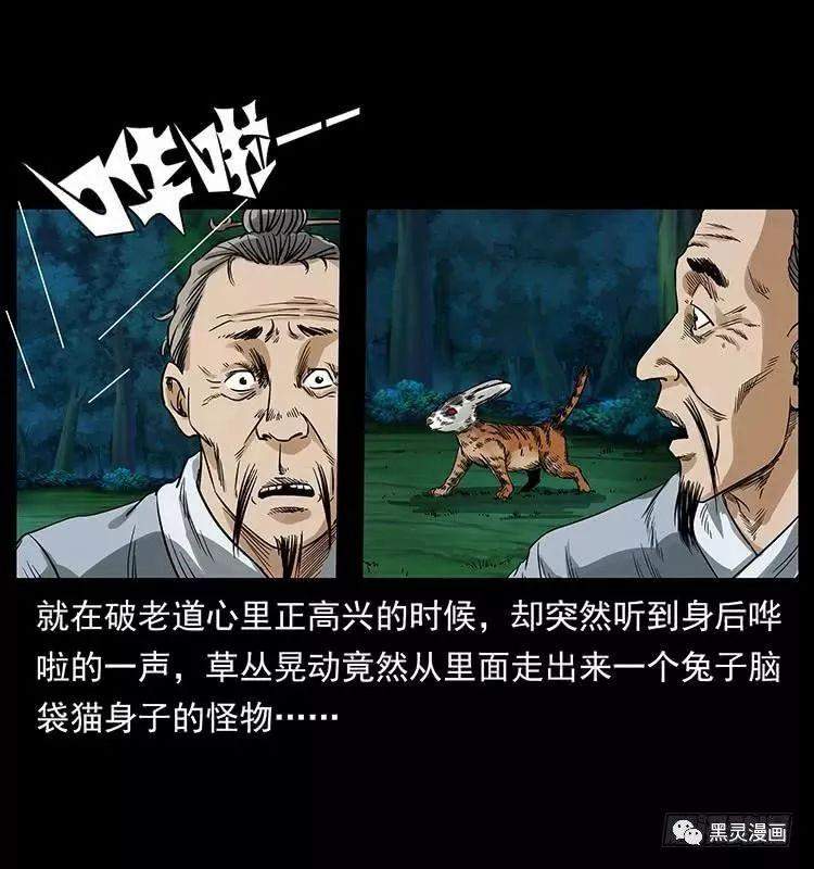 仙山传奇之神医