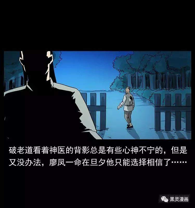 仙山传奇之神医