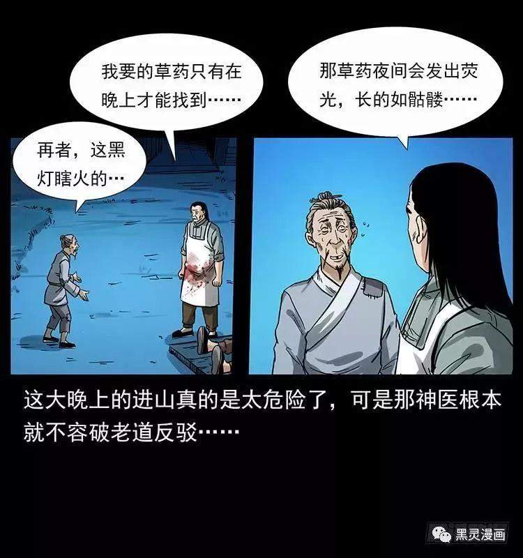 仙山传奇之神医