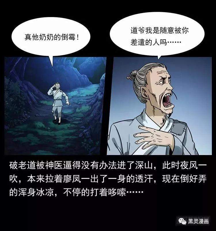 仙山传奇之神医