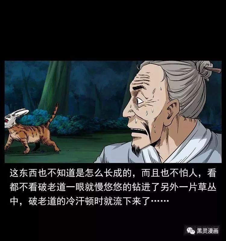 仙山传奇之神医