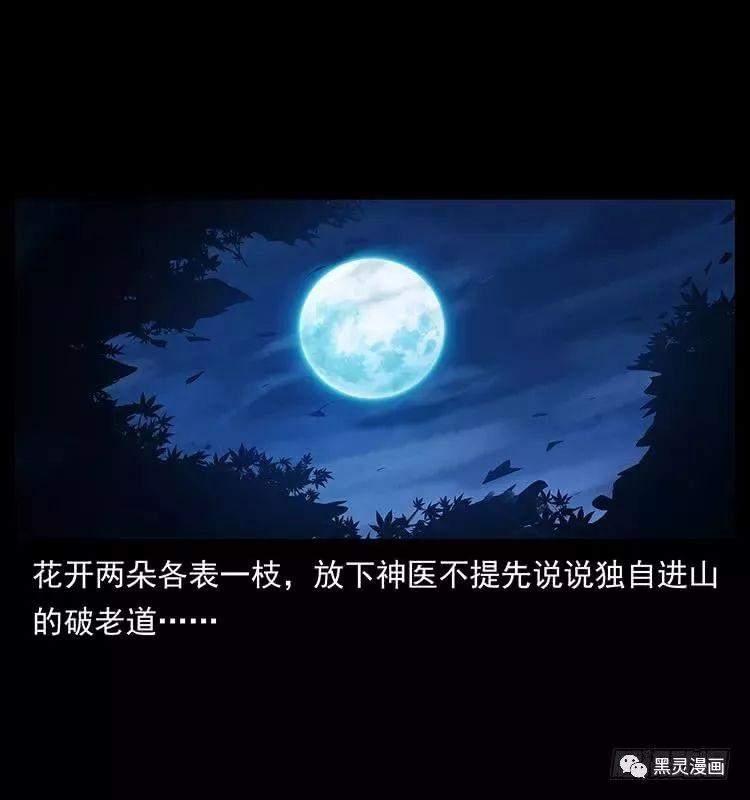 仙山传奇之神医