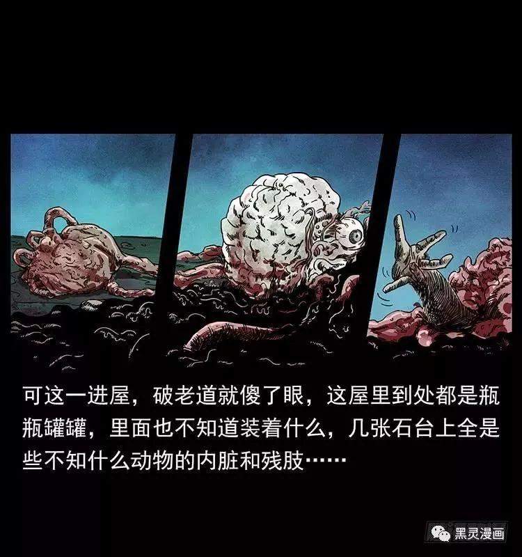 仙山传奇之神医