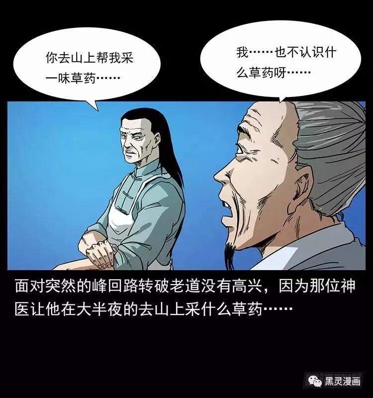 仙山传奇之神医