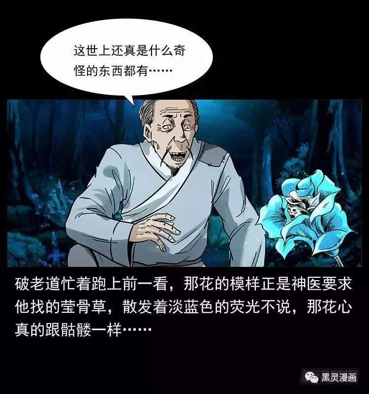 仙山传奇之神医