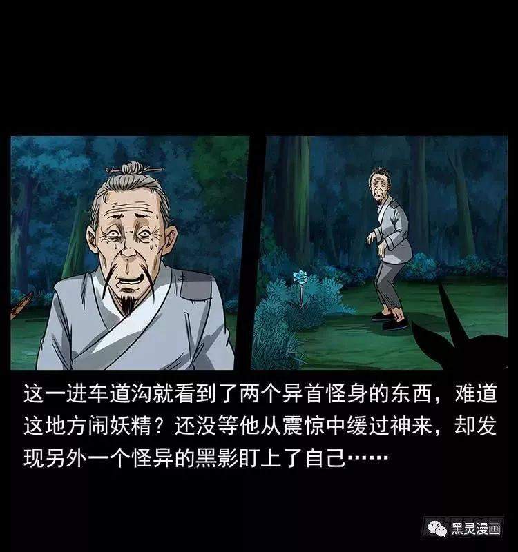 仙山传奇之神医