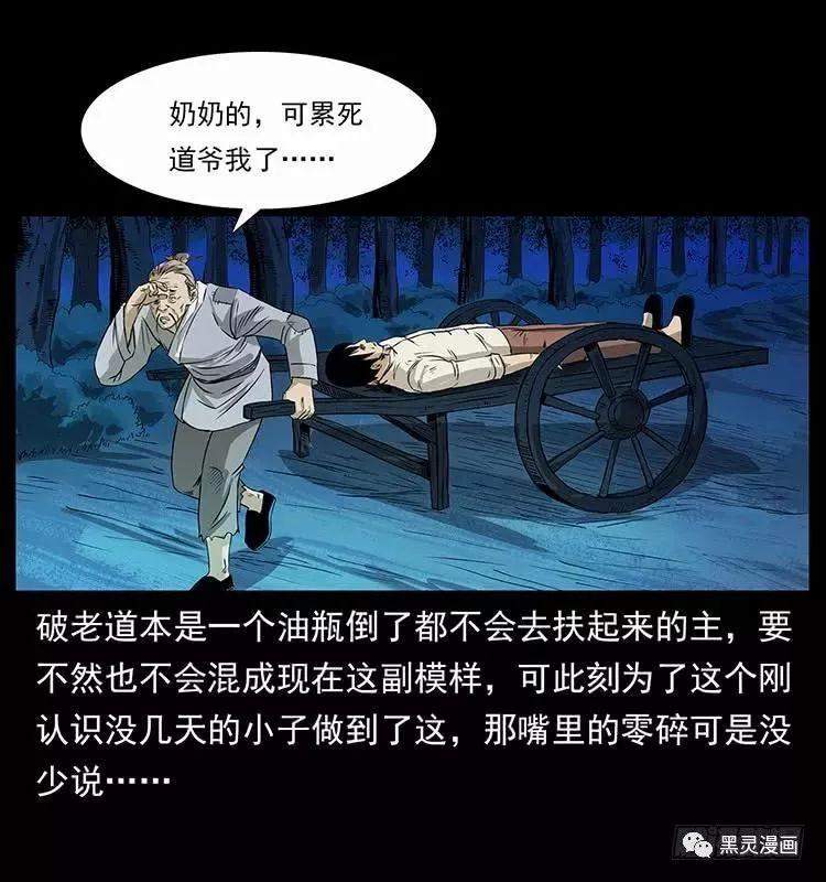 仙山传奇之神医