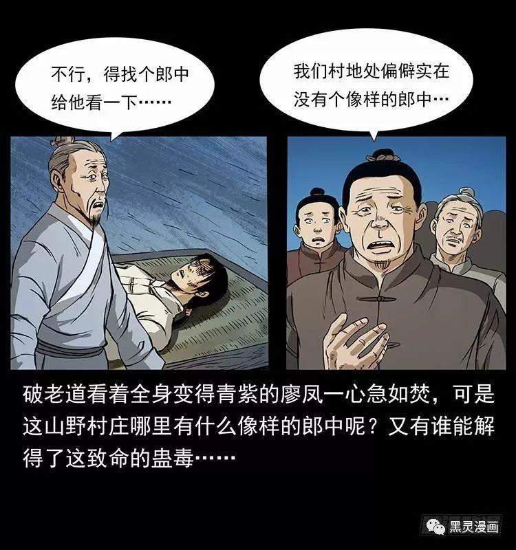 仙山传奇之神医