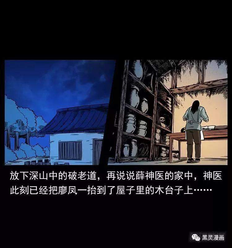 仙山传奇之神医