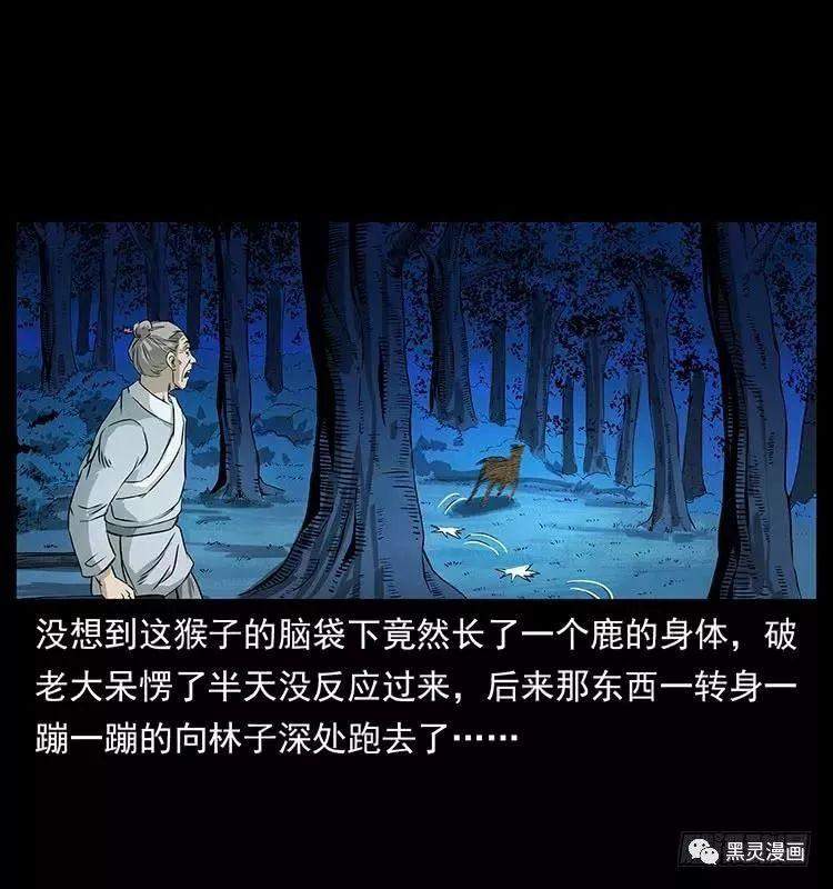 仙山传奇之神医