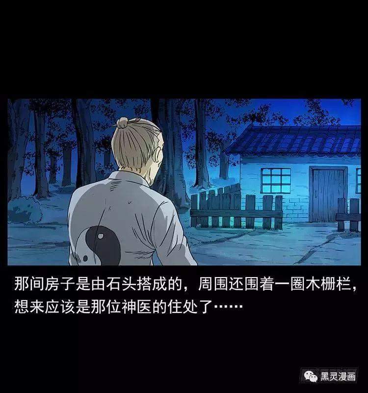 仙山传奇之神医